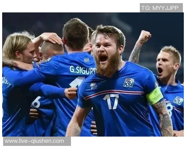 2018年世界杯小组赛葡萄牙对阵冰岛精彩回顾与战术分析 2018年世界杯小组赛葡萄牙对阵冰岛精彩回顾与战术分析