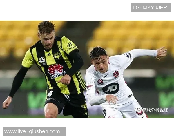 惠灵顿与悉尼足球对决比分预测分析及赛前展望 惠灵顿与悉尼足球对决比分预测分析及赛前展望